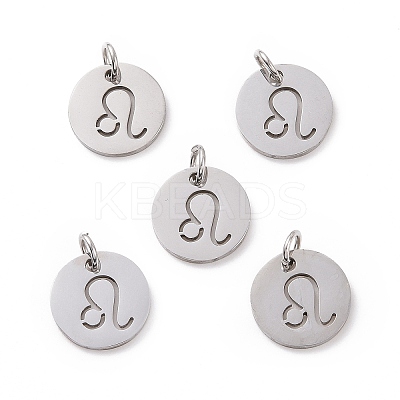 Non-Tarnish 304 Stainless Steel Charms STAS-Q201-T445-5S-1