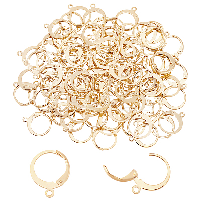 100Pcs 304 Stainless Steel Leverback Earring Findings STAS-PH0004-83-1