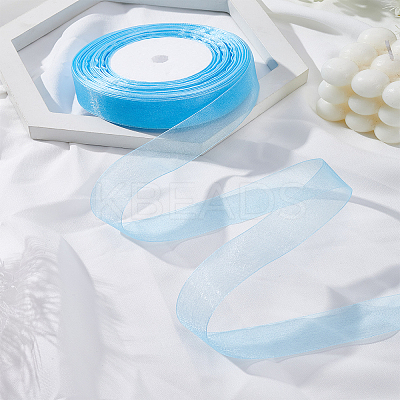 1 Roll Sheer Organza Ribbon OCOR-LP0001-73C-1
