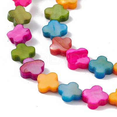 10 Strands Colorful Natural Freshwater Shell Dyed Beads Strands SHEL-M018-03-1
