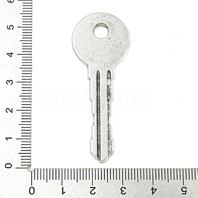 Tibetan Style Alloy Big Pendants FIND-M056-07A-AS-1