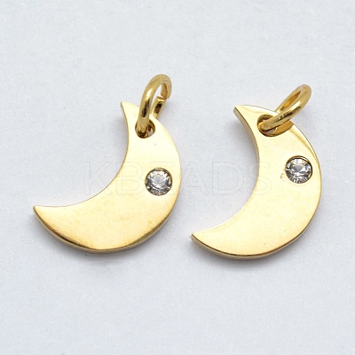 316 Surgical Stainless Steel Pendants STAS-K178-10G-1