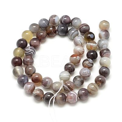 Natural Botswana Agate Beads Strands G-S150-24-6mm-1