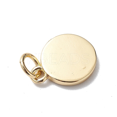 Brass Enamel Charms KK-E003-11G-1