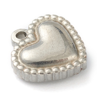 Non-Tarnish 304 Stainless Steel Charms STAS-G244-02P-1