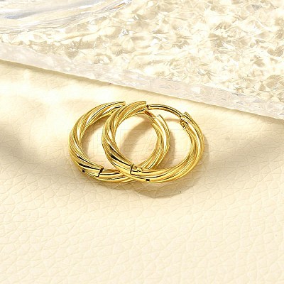 304 Stainless Steel Hoop Earrings for Women EJEW-M068-14G-06-1