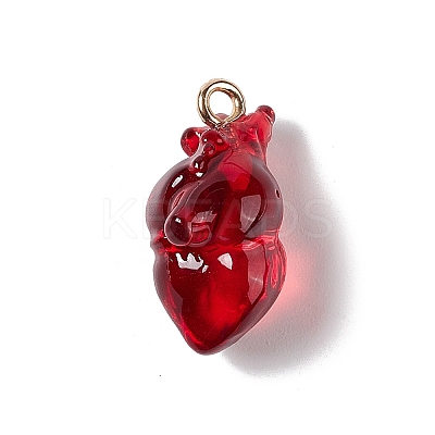 Transparent Resin Pendants X-RESI-E028-01G-01-1