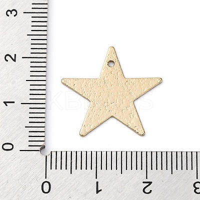 Geometric Alloy Sheet Printed Pendant Earrings Accessories LS-PALLOY-E139-01G-03-1