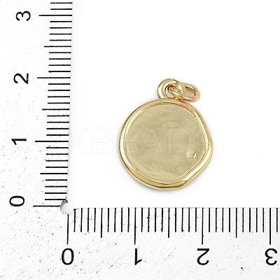 Brass Enamel Pendants KK-D409-02G-1