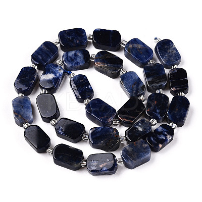 Natural Sodalite Beads Strands G-T138-09-1