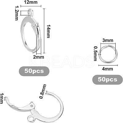 304 Stainless Steel Leverback Earring Findings STAS-UN0014-18S-1
