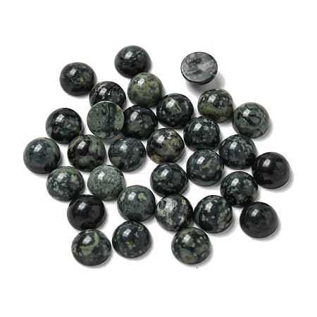 Natural Kambaba Jasper Cabochons G-Q173-01B-22-1