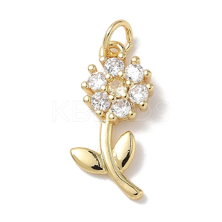 Brass Micro Pave Cubic Zirconia Pendants KK-L268-029G-01-1