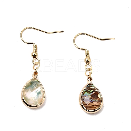 Natural Paua Shell Dangle Earrings EJEW-JE06274-06-1