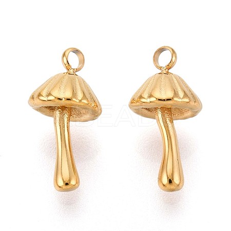 304 Stainless Steel Charms STAS-N109-163G-1