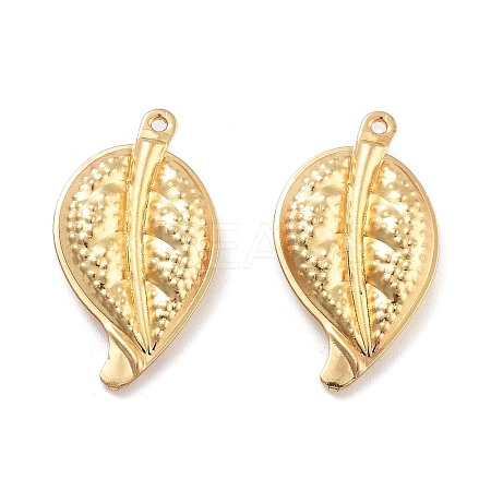 316 Surgical Stainless Steel Pendants STAS-B072-03G-03-1