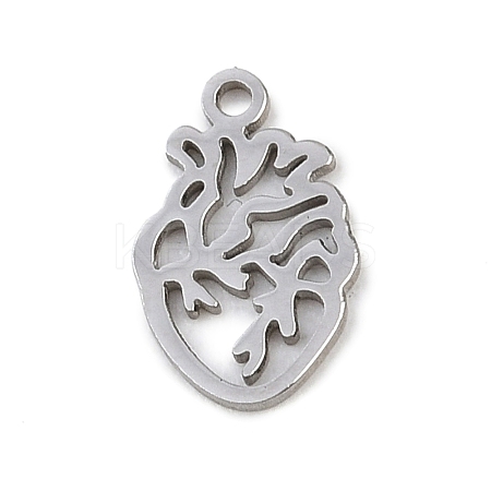 304 Stainless Steel Charms STAS-Z183-05P-1
