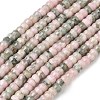 Natural Rhodonite Beads Strands G-A299-A24-01-2
