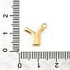 Brass Micro Pave Cubic Zirconia Charms KK-C117-12G-Y-3