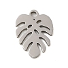 Non-Tarnish 304 Stainless Steel Charms LS-STAS-S123-01P-06-1