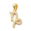 925 Sterling Silver Micro Pave Clear Cubic Zirconia Pendants STER-Z012-06G-03-1