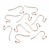 304 Stainless Steel Earring Hooks X-STAS-S111-005RG-NR-3