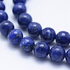Natural Lapis Lazuli Beads Strands G-P342-01-6mm-AB-3