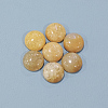 Natural Topaz Jade Cabochons X-G-P393-R35-12mm-3