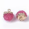 Druzy Resin Pendants X-RESI-S383-013-2