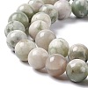 Natural Peace Jade Beads Strands X-G-G905-07-4