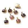 Natural Botswana Agate Charms G-L553-58A-G-1