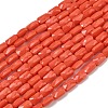 Opaque Glass Beads Strands GLAA-Z018-D23-1