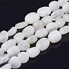 Natural Rainbow Moonstone Beads Strands X-G-Q961-27-1