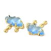 Translucent Resin Pendants KK-C023-04B-2