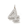 304 Stainless Steel Micro Pave Cubic Zirconia Pendants STAS-H228-01P-04-1