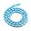 Electroplate Glass Beads Strands EGLA-A037-P6x8mm-B06-2
