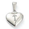 304 Stainless Steel Pendants X-STAS-P278-01T-P-1