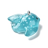 Sea Animal Theme Transparent Resin Pendants X-RESI-D071-04I-2