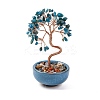 Natural Apatite Chips Tree Decorations DJEW-M012-02M-1