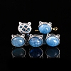 Natural Aquamarine Beads PW-WG2C262-02-1