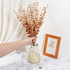 20Pcs Plastic Artificial Eucalyptus Leaves DJEW-GF0001-88A-3