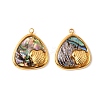 304 Stainless Steel Pave Natural Paua Shell Pendants STAS-Z145-07G-01B-1
