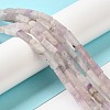 Natural Lepidolite/Purple Mica Stone Beads Strands G-E612-C05-C-2