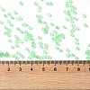 Glass Seed Beads SEED-S042-13A-12-4