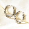 201 Stainless Steel Hoop Earrings EJEW-Q026-14P-A-4