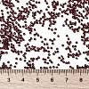 MIYUKI Round Rocailles Beads X-SEED-G009-RR0419-4