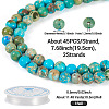 DIY Natural Regalite/Imperial Jasper/Sea Sediment Jasper Beads Bracelets  Making KIts DIY-TA0002-69A-4