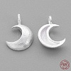 925 Sterling Silver Charms STER-G011-28MS-2