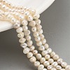Natural Cultured Freshwater Pearl Beads Strands PEAR-C003-07A-1