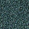MIYUKI Delica Beads X-SEED-J020-DB0276-3
